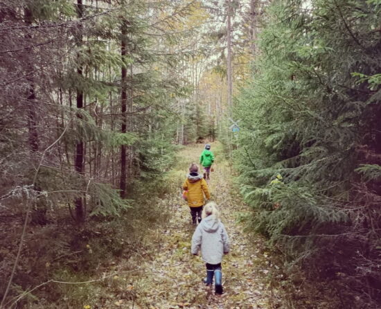 hike kids 4