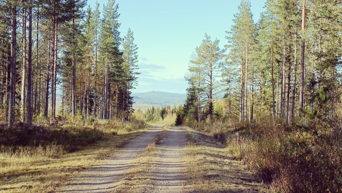 Outdoor slapen meerdaagse hike Zweden