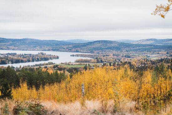 20250922-MerlijnArinaPhotography-AvontuurinZwedenherfst-472 Autumn Sweden