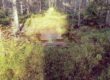 Herfst in Zweden