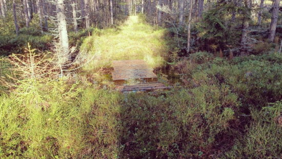 IMG20231005100502 Herfst in Zweden