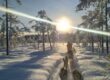 Sweden Husky Tours