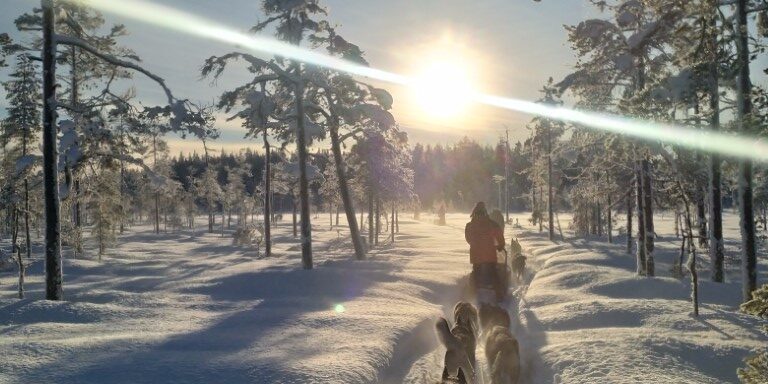 Husky Tour Sweden Husky Tours