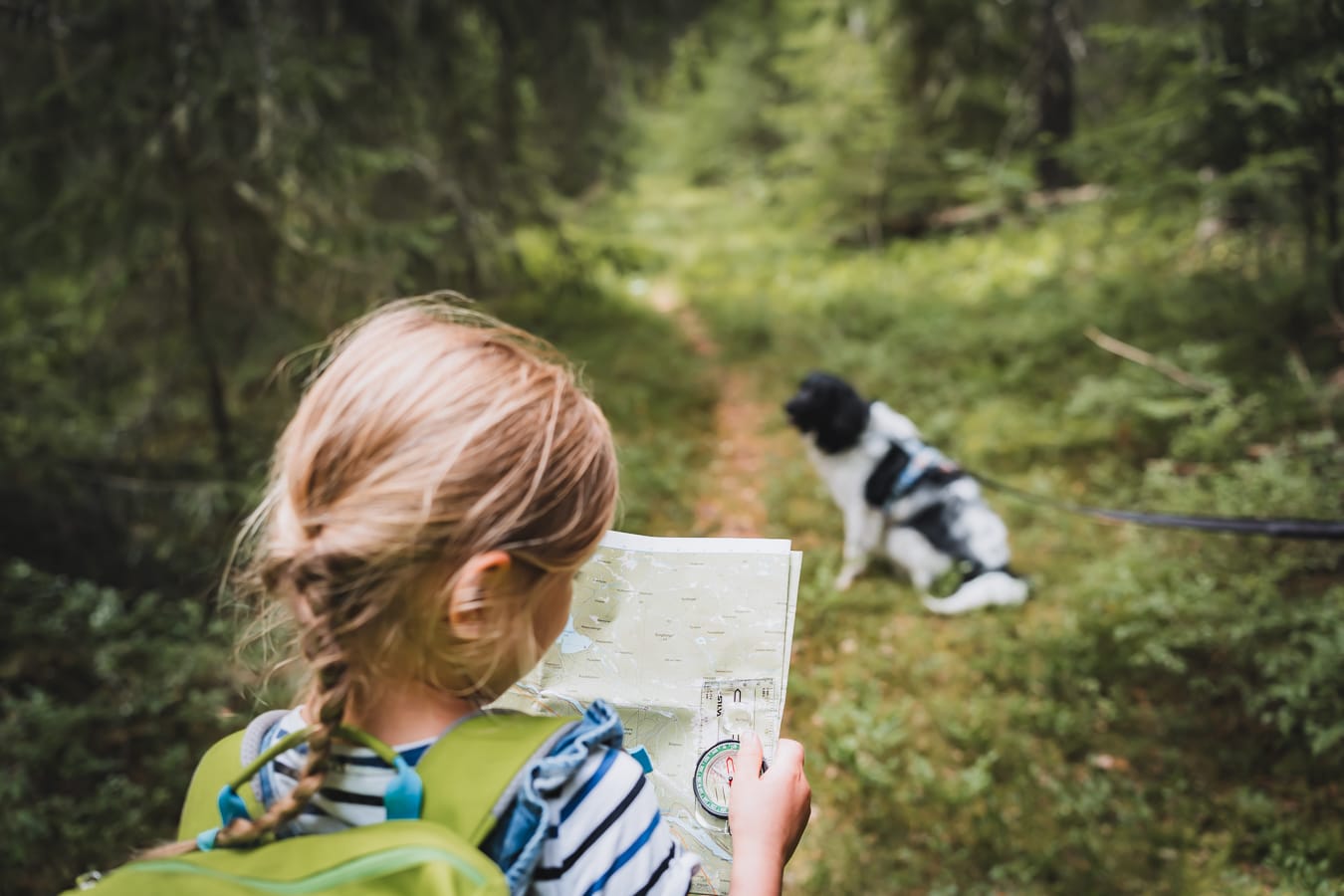Emigratie naar Zweden