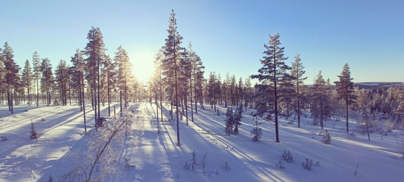 Snow and Sun