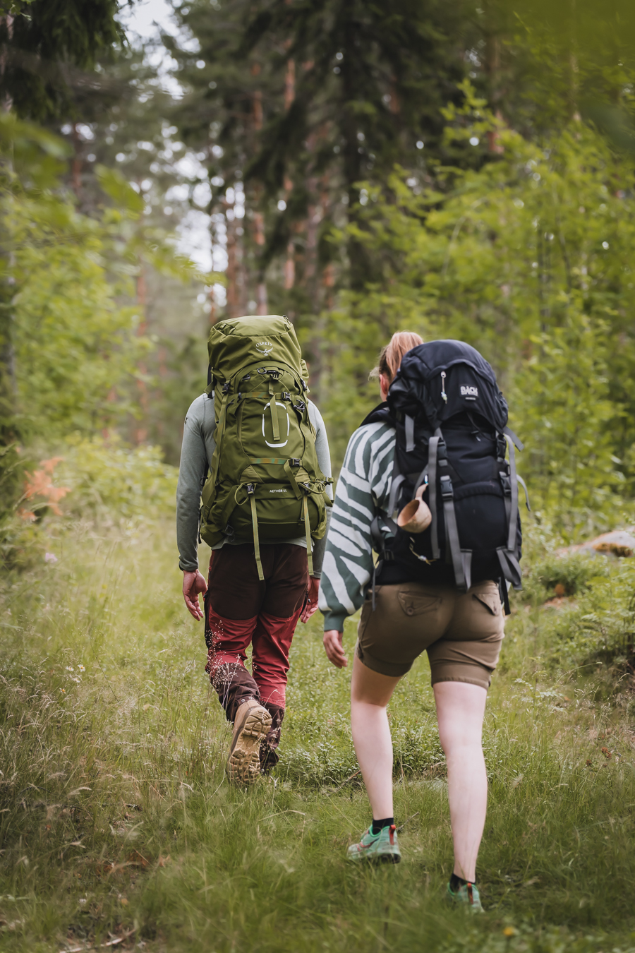 wandelen in bos hike
